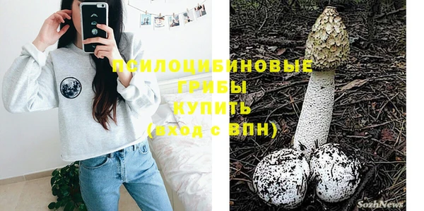 крисы Балахна