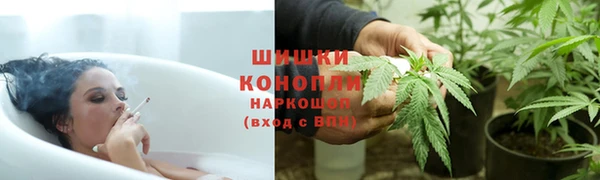крисы Балахна
