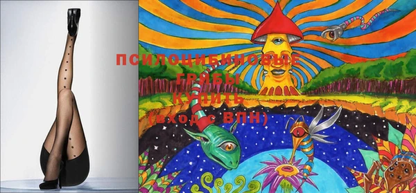 крисы Балахна