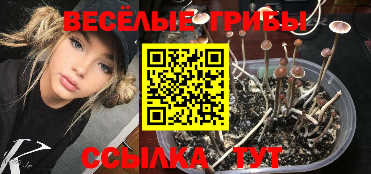 Галлюциногенные грибы GOLDEN TEACHER Всеволожск