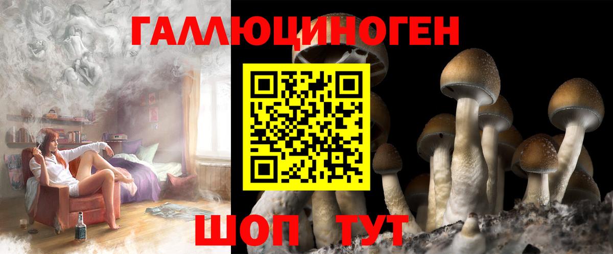Псилоцибиновые грибы ЛСД  где найти   Псилоцибиновые грибы Magic Shrooms  Всеволожск 